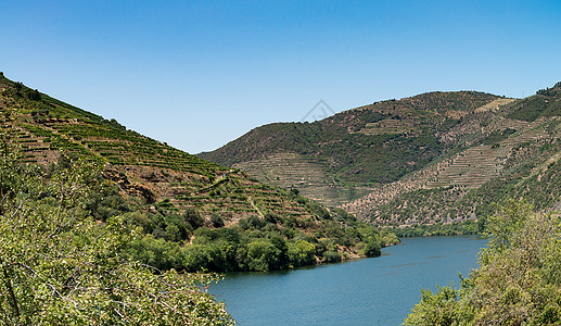 杜罗谷梯田葡萄园的景点拍摄晴天历史遗产风景世界文化地区岩石梯田丘陵图片