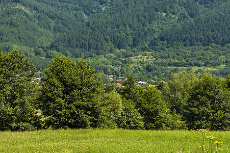 中巴尔干山区Bulgarian村Anton 的山角 森林和住宅区的景象衬套季节访问天空草地村庄空地生活顶峰房子图片