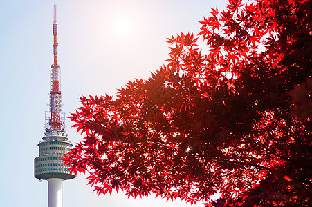 在韩国南山南山的首尔塔和红色秋天叶树叶风景场景公吨反射天际建筑学城市地标景观图片