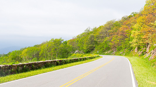 风尾兰美国弗吉尼亚州Shenandoah国家公园路道景观背景