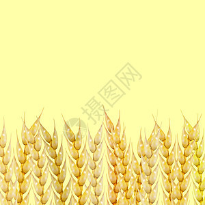 背景 小麦支粒 矢量说明图片