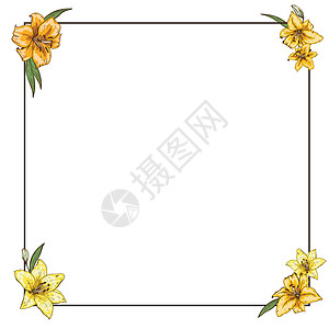 边角有黄色百合板的细边框 为您设计准备模板 矢量插图图片