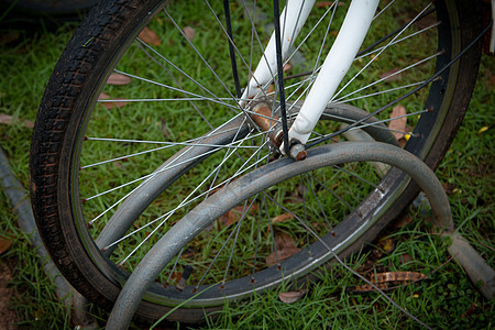 白色自行车连续停车车轮娱乐场景街道公园民众运输旅行车辆环境图片