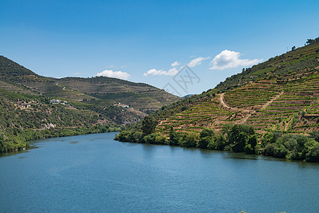 杜罗谷梯田葡萄园的景点拍摄丘陵植物天空火车蓝色风景葡萄园土壤藤蔓世界图片