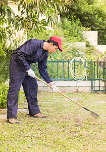 带花园工具的园艺员割草机园丁工作植物绿色男人播种机生长手套农民图片