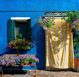 布鲁诺的蓝色房子旅游建筑风格季节文化窗户装饰街道花盆花朵图片