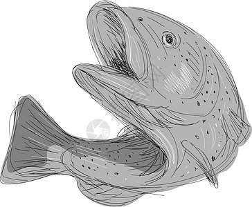 Cutthroat 特鲁特跳跃绘图手绘鳟鱼绘画图片