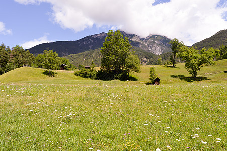 以山谷和绿绿的景象盟誓全景风景蓝色顶峰地平线山脉爬坡岩石悬崖森林图片