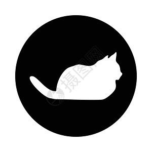 猫集合矢量 silhouett黑色团体尾巴草图朋友绘画小猫夹子猫科动物猫咪背景图片