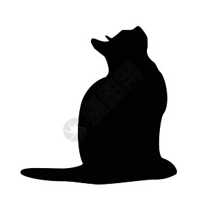 猫集合矢量 silhouett尾巴黑色艺术朋友宠物小猫动物猫科动物阴影猫咪图片