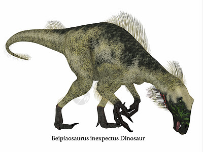 北比皮亚龙恐龙副剖面简介脊椎动物肉食者3d灭绝古艺术爬虫主题蜥蜴牙齿古生物学图片