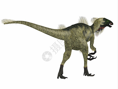 北比皮亚松龙恐龙尾爬虫灭绝恐龙蜥蜴脊椎动物生物动物食草主题古生物学图片