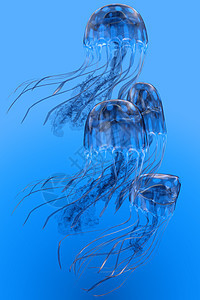 蓝斑斑斑珠鱼运动图片