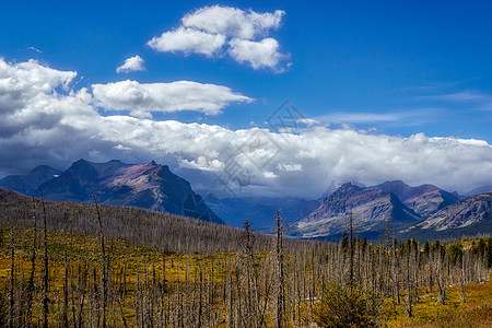 紫山位于下二药湖旁的紫山旅游阳光照射荒野森林风景冰川树木蓝色山脉药品图片