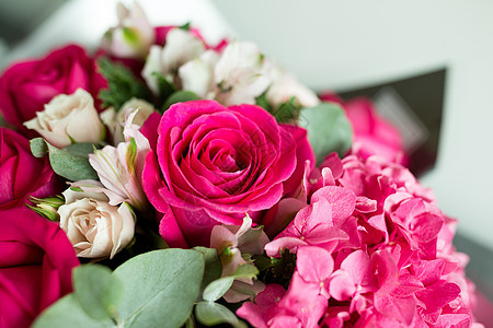 粉红玫瑰庆典花园花瓣红色婚礼粉色植物植物群白色婚姻图片