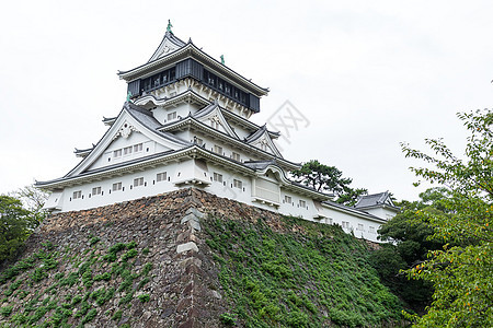 日本小仓城堡天空阳光地标晴天护城河城市太阳植物旅行长须图片