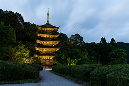 鲁里科吉寺寺寺塔旅游旅行城市历史池塘历史性寺庙建筑学佛教徒反射图片