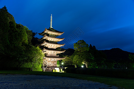 晚上的鲁里科吉寺寺塔图片