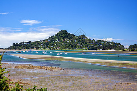 新西兰Tairua入口图片
