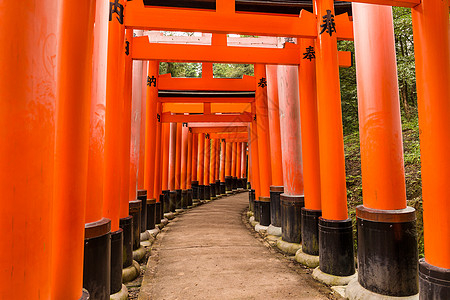 京都神社地标旅行神道文化红色宗教寺庙神社橙子观光图片