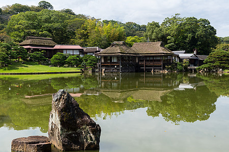 热金云花园水池彦根气候木头植物学场景玄宫爬坡公园花园图片