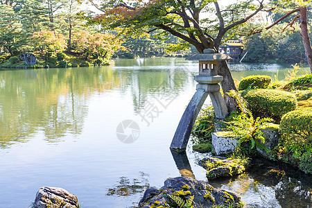 传统的日本花园和水池传统图片