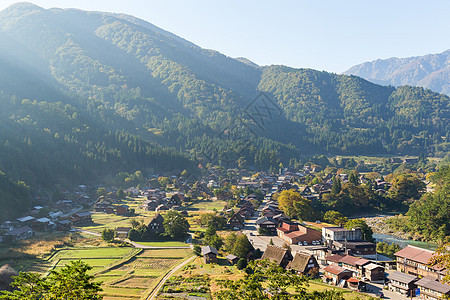 传统日日日白川越村村庄房子绿色植物稻草世界茅草历史性建筑丛林地标图片