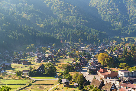 传统日日日白川越村旅行建筑村庄房子历史性地标绿色植物世界茅草白川图片