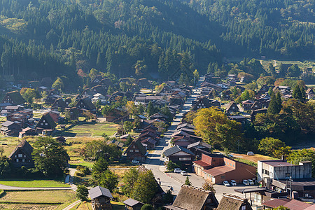 日本白川戈村历史旅行文化房子历史性村庄建筑茅草丛林旅游图片