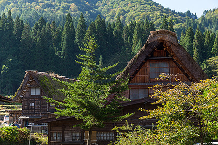 传统日日日老村草地游客世界风景地标植物森林场地农村种植园图片