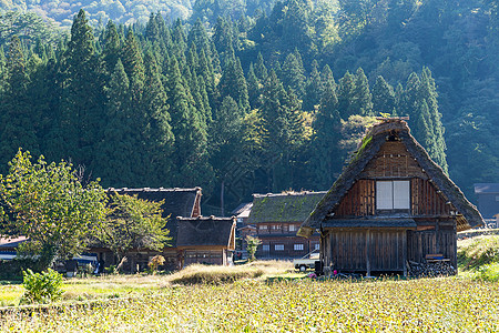 日语传统村图片
