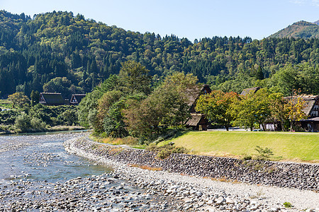 日本传统白川越村Shirakawago建筑学合掌文化丛林建筑地标旅行樱花遗产房子图片