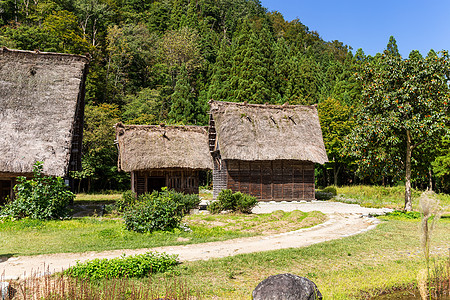 日本老村遗产森林场地村庄观光农场种植园旅行历史地标图片