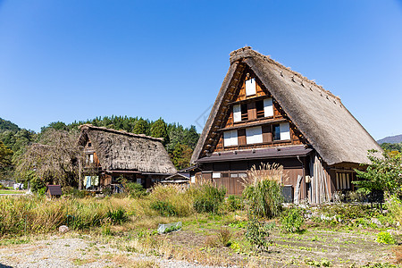 日本白川越老房子图片