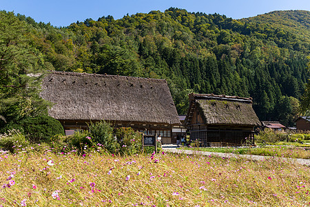 白川戈的日本传统古老村落图片