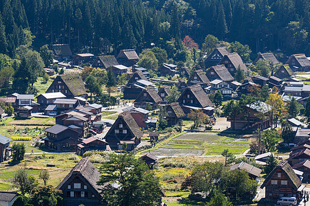 日本白川越游客观光旅游茅草历史性森林建筑风景房子文化图片