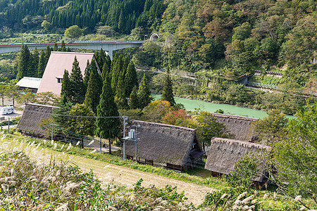 日本白川越村村庄文化建筑学合掌稻草白川地标木头建筑历史性图片