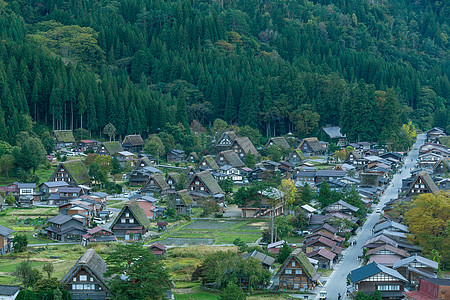 日本白川越村季节性建筑学森林建筑房子旅行合掌茅草历史性世界图片