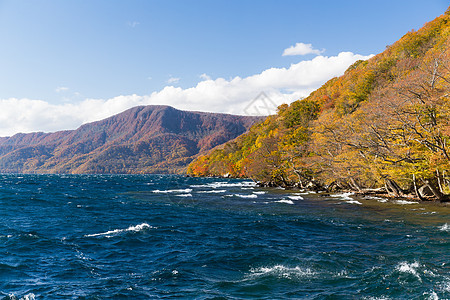 日本的Towada湖图片