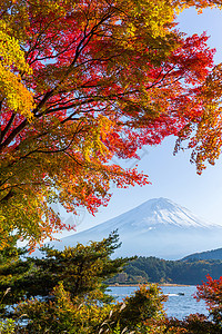 秋天的藤山山图片