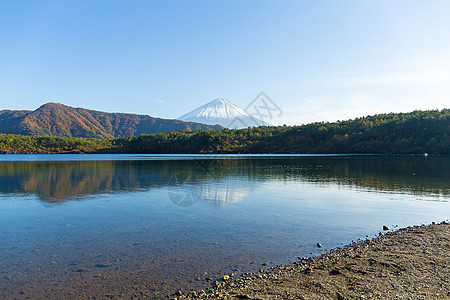 佐子湖的藤山图片