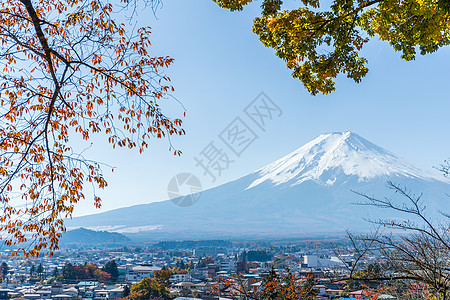 山地fuji和Mamele树植物叶子浅间蓝色旅行绳索地标文化风景宗教图片