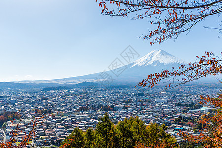 藤山天空宝塔城市寺庙蓝色浅间樱花神道旅行叶子图片