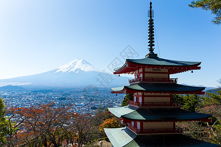 藤藤山浅间晴天叶子火山文化樱花神社阳光新仓宝塔图片