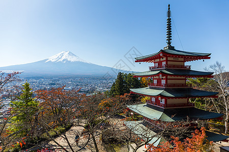 富士山和楚雷托红塔天空神道叶子季节新仓樱花红叶宝塔旅行神社图片