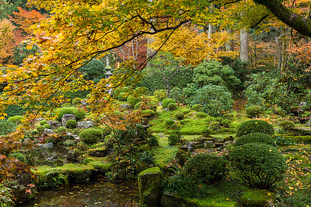 秋日日本庙橙子灯笼场景花园季节公园植物石头森林文化图片