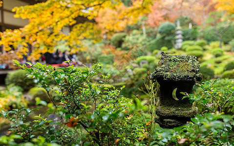 秋天的日本寺庙花园植物池塘橙子花园文化灯笼晴天叶子地衣石头图片