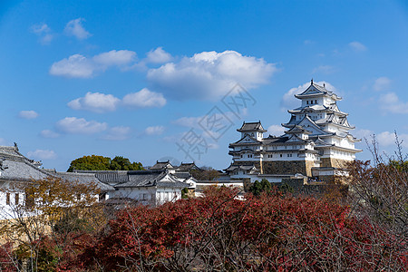 日本喜木寺城堡 有青树图片