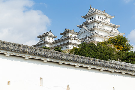 冰木吉城堡地标世界历史性白色松树风景场景叶子堡垒遗产图片