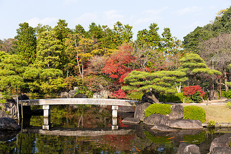 在冰地的Kokoen花园古园红叶植物瀑布果园鲤鱼旅游旅行寺庙花园图片